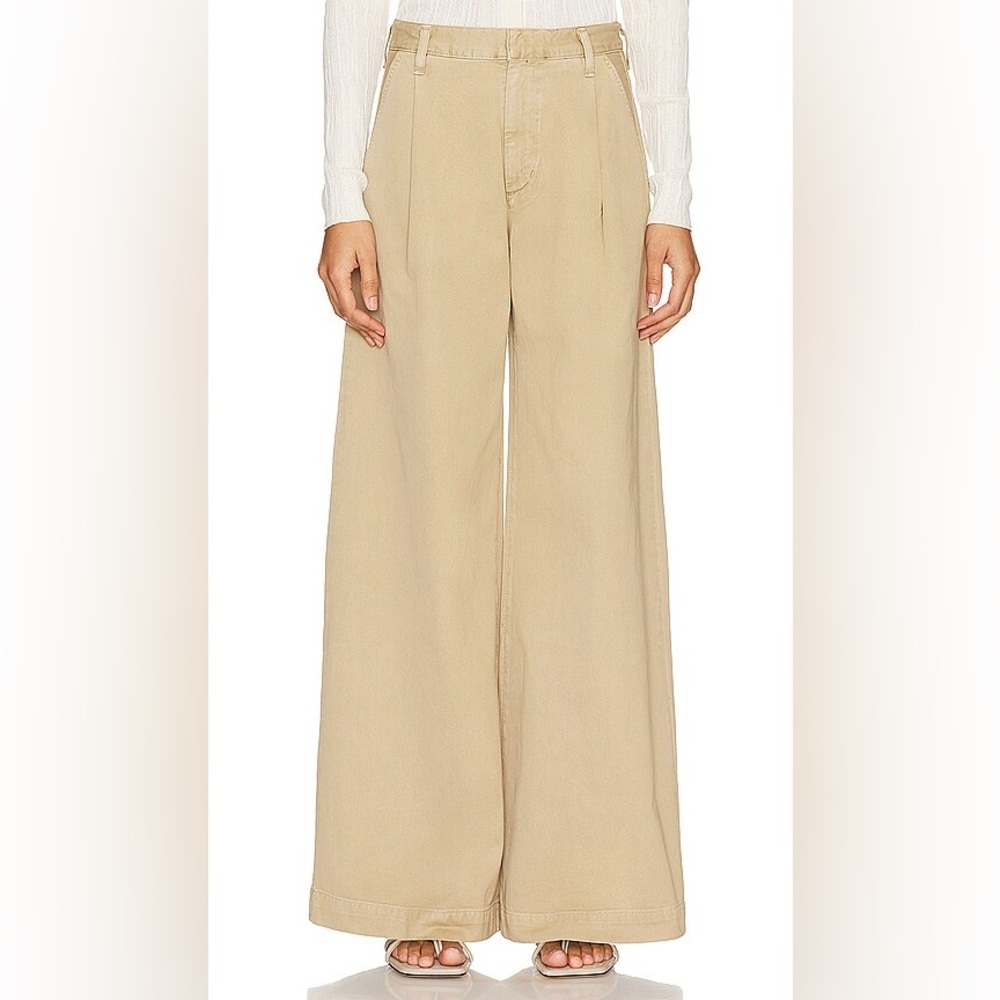 AGOLDE Daryl Wide Leg‎ Pintuck Pants Basket 33 (NWOT)